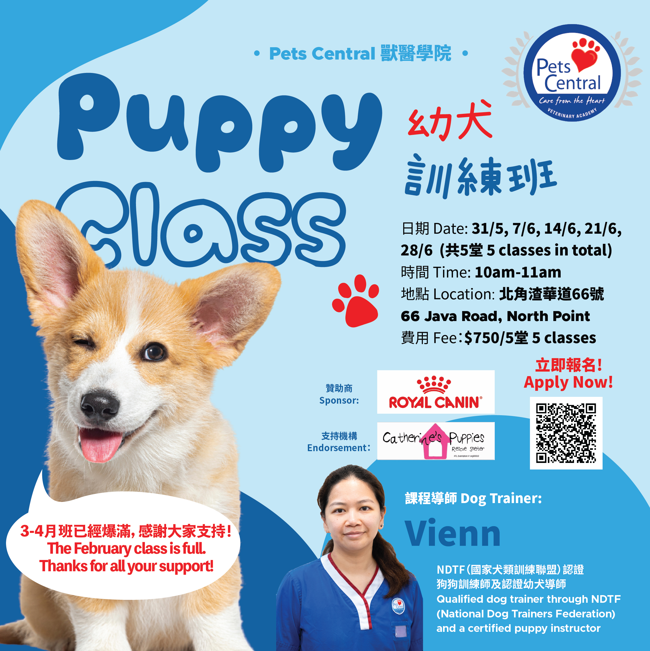 pets central dog training puppy class_202503.jpg (2.53 MB)